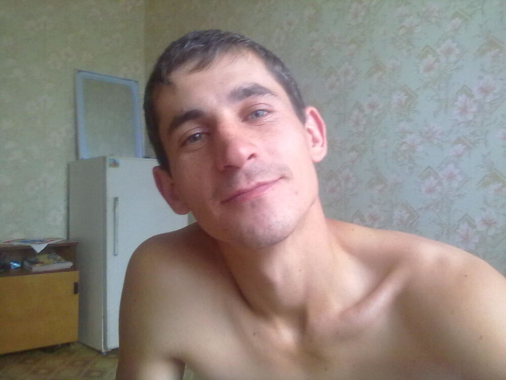  4146833  , 38 ,    
