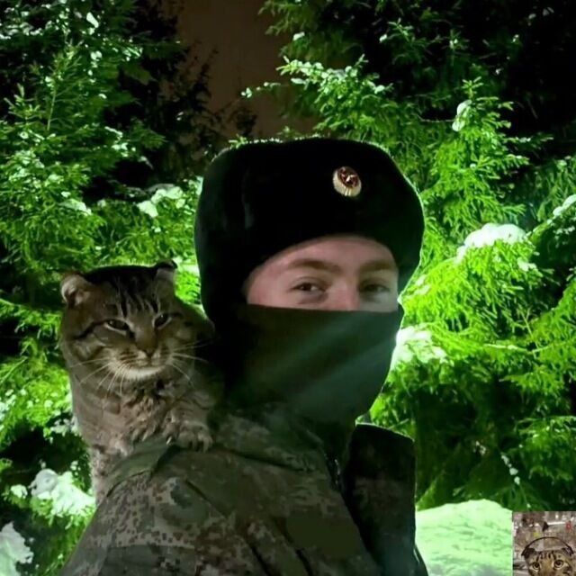 ���� 46515483 ����� ������, 25 ���, ���� ���������� � ������