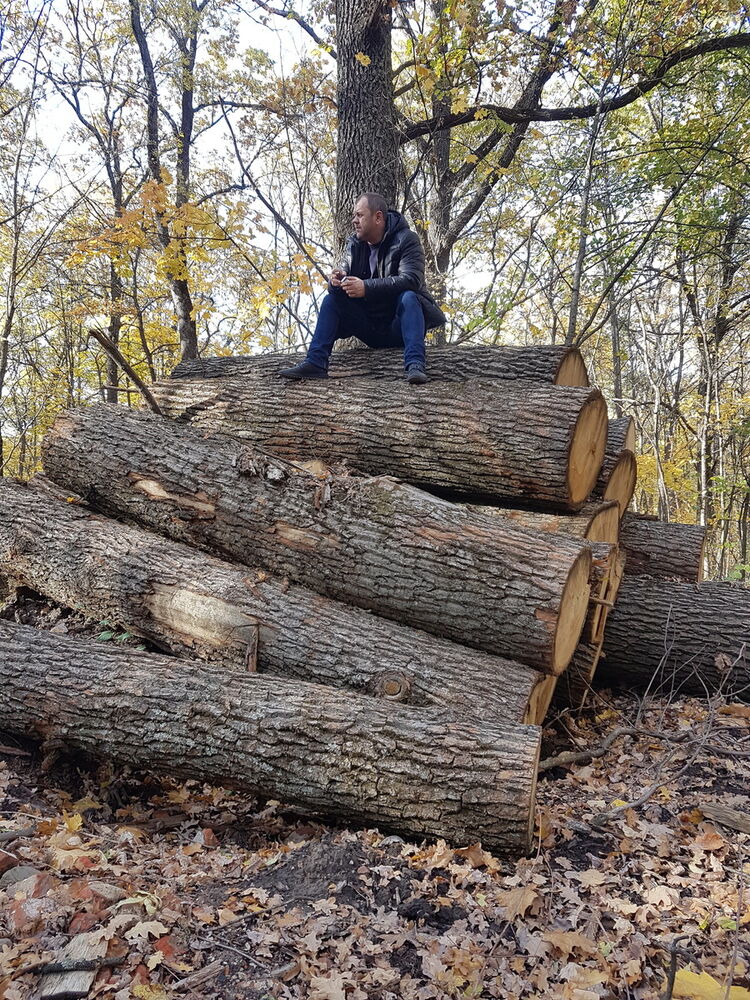 ���� 19050123 ������� ������, 43 ����, ���� ���������� � ��������