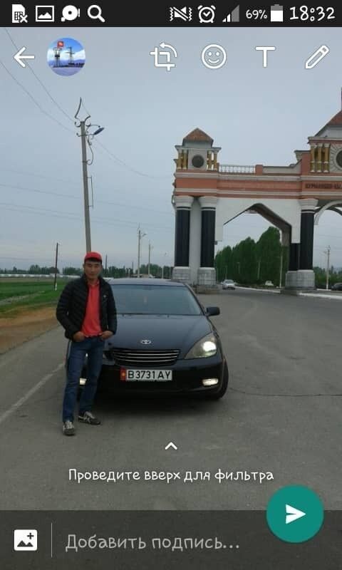  15767713  , 31 ,    