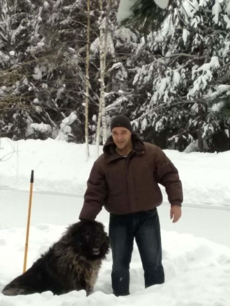 ���� 33378043 ������� ����, 51 ���, ���� ���������� � ������