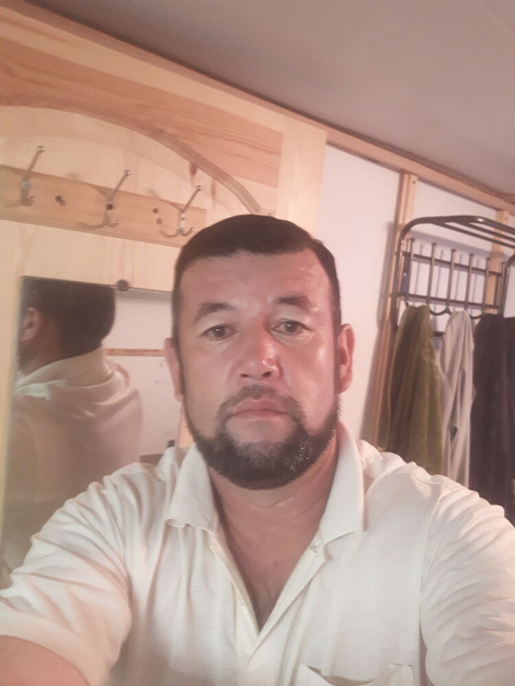 23348343  , 46 ,    