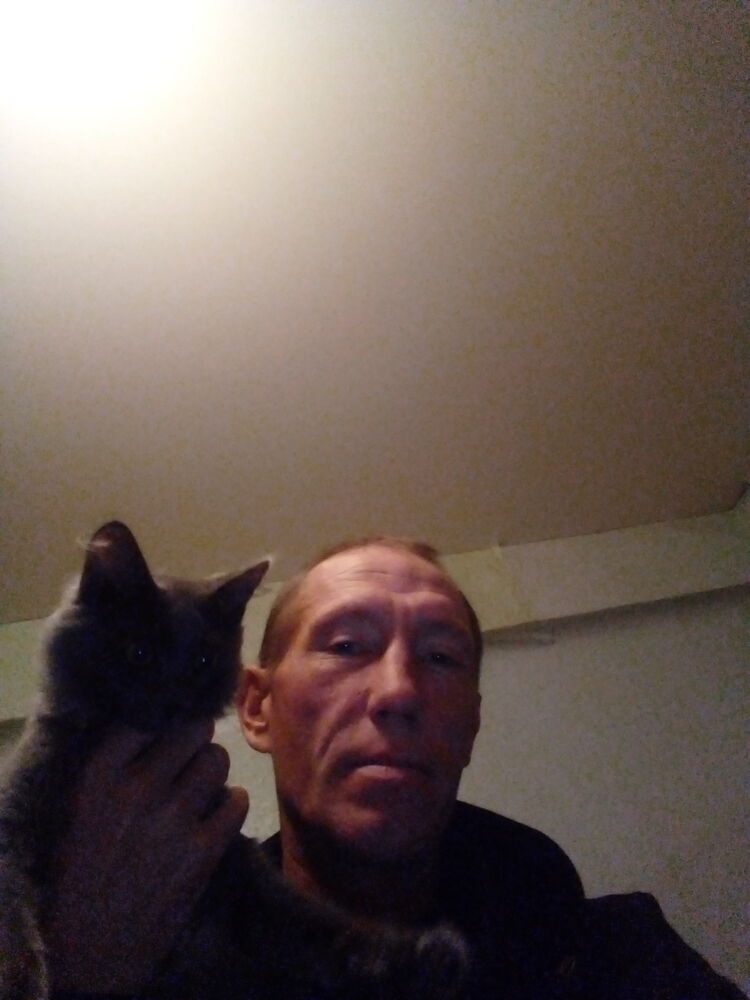 ���� 38496603 ������� ������, 38 ���, ���� ���������� � ������