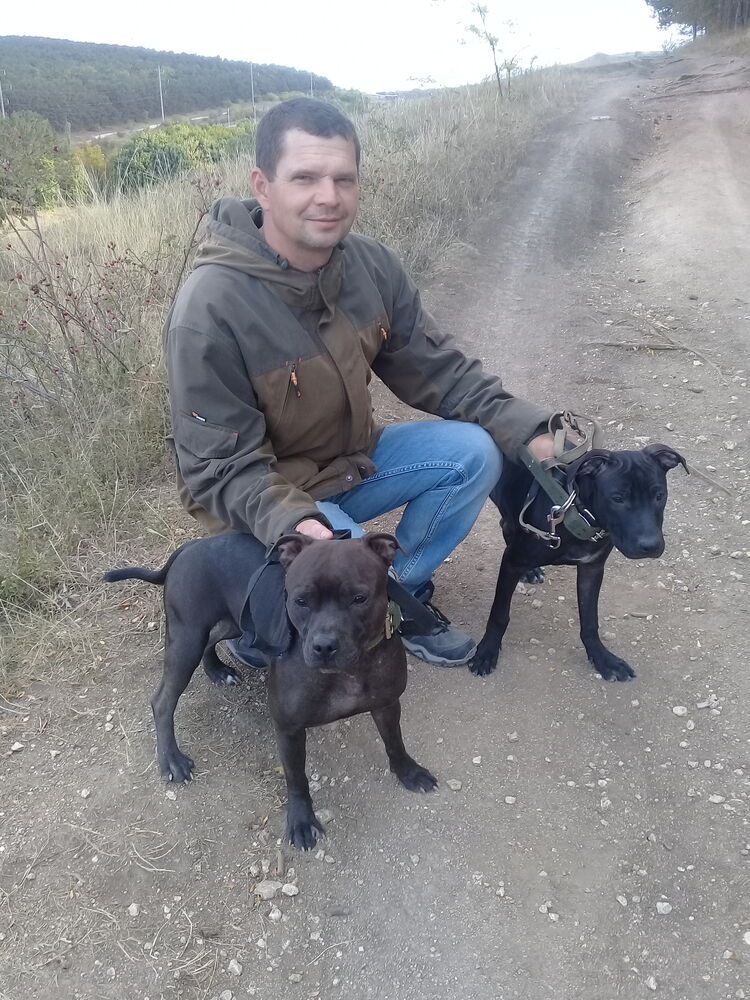 ���� 39778493 ������� ������, 54 ����, ���� ���������� � �����������