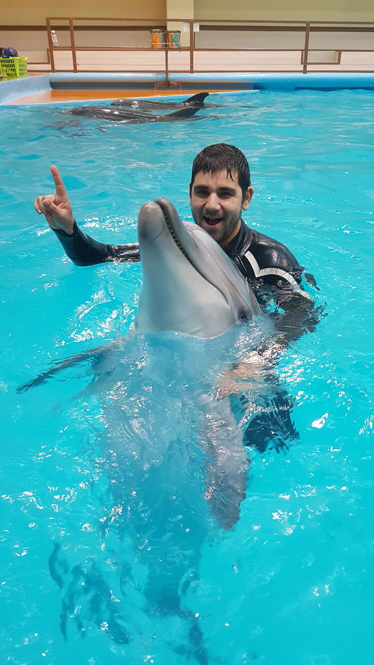 ���� 27043193 ������� ������, 38 ���, ���� ���������� � ����