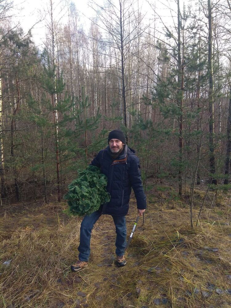 ���������� �����, ���� ������� ��������, 49 ���, ������������ ��� ������, ����� � ���������, c�������� ���������