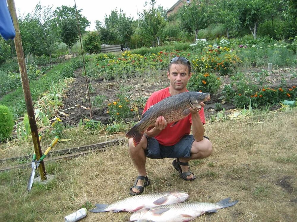 ���������� ����, ���� ������� ���������, 51 ���, ������������ ��� ������, ����� � ���������, c�������� ���������