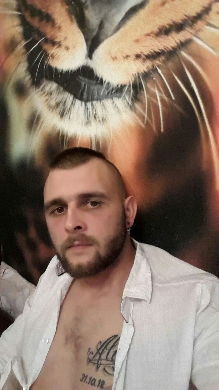  50084573  , 29 ,    