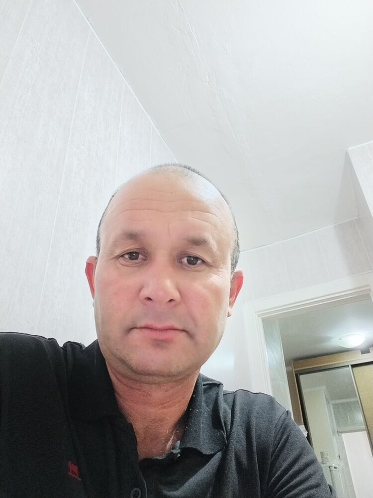  35595103  , 46 ,    