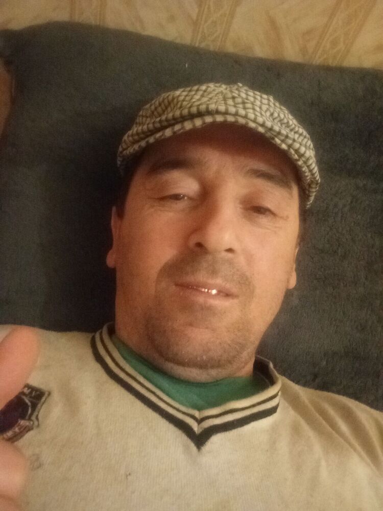 48617103  , 43 ,    -