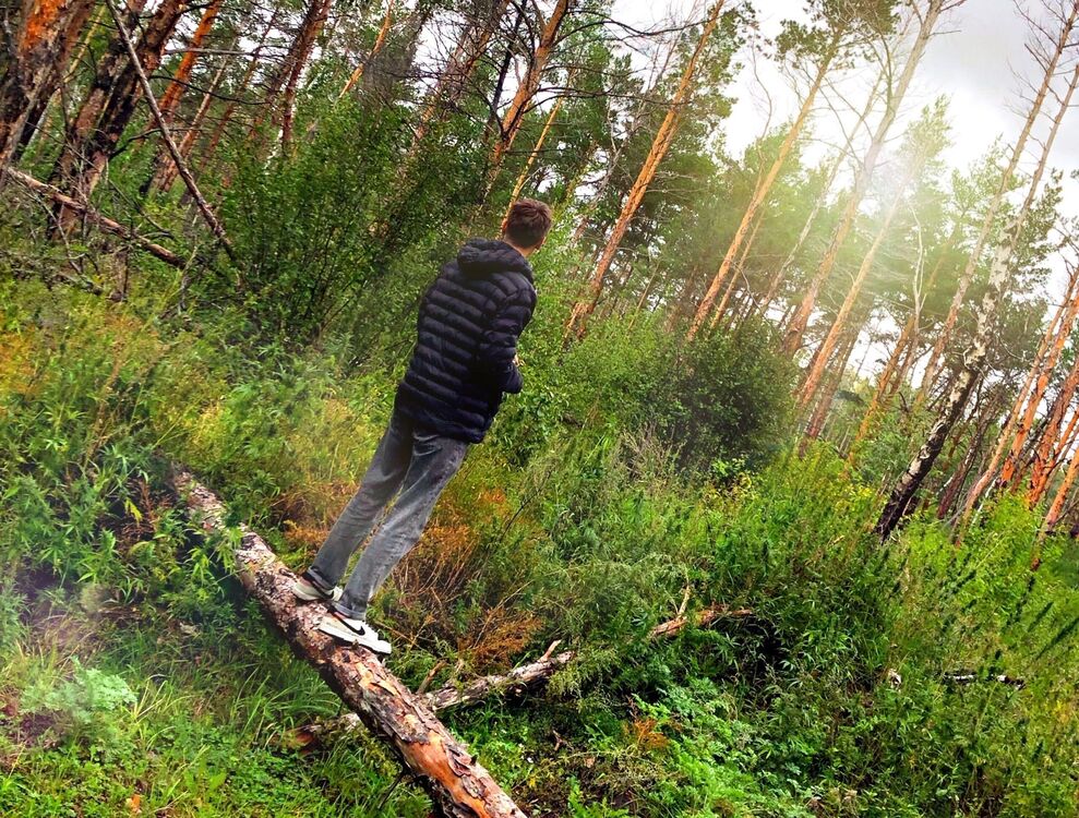 ���� 41656993 ����� �������, 20 ���, ���� ���������� � �������