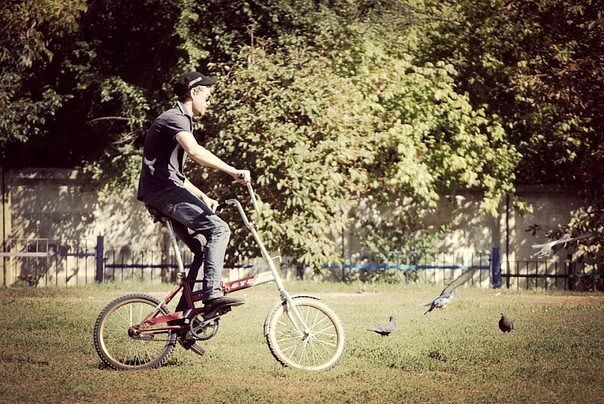 ���������� ������-��-����, ���� ������� ����, 36 ���, ������������ ��� ������, ����� � ���������, c�������� ���������