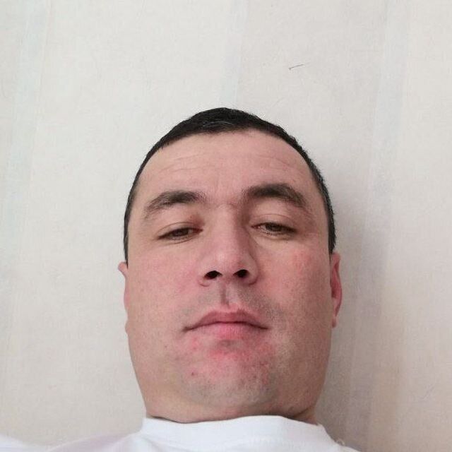  51581313  , 40 ,    