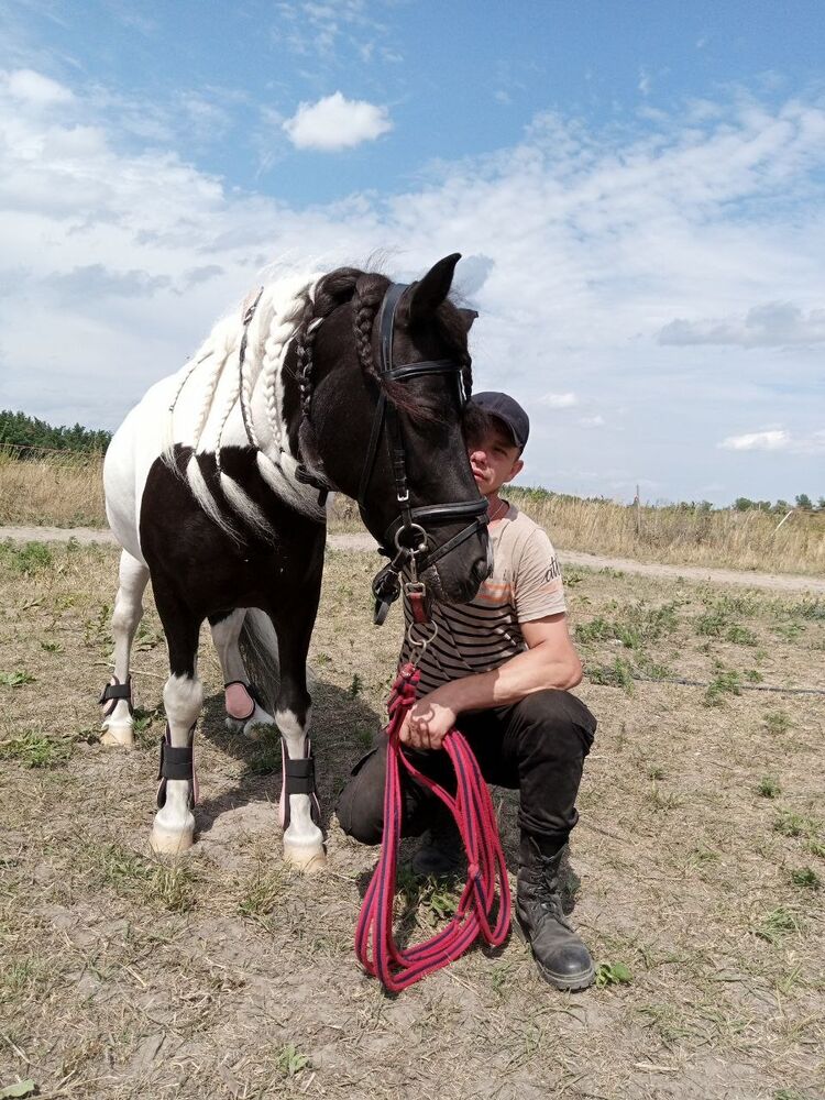 ���� 23839853 ������� ��������, 38 ���, ���� ���������� � ���������