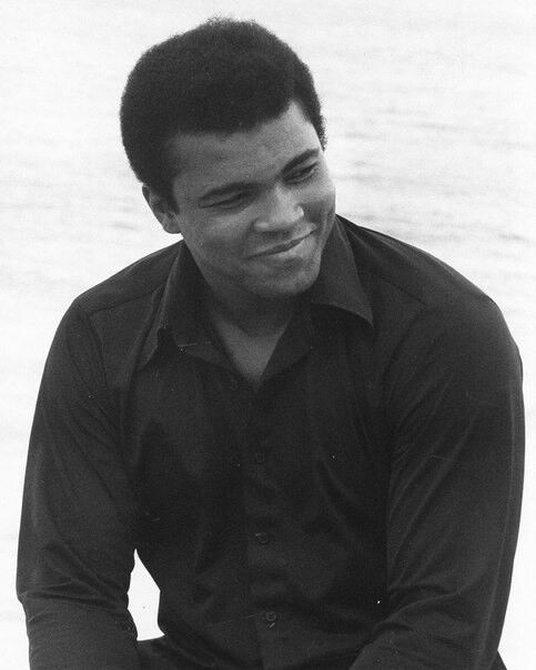  4568073  Mederov, 43 ,    