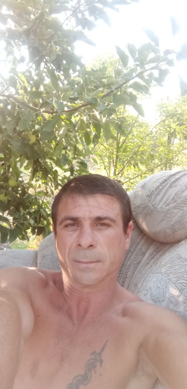  28724653  , 41 ,    