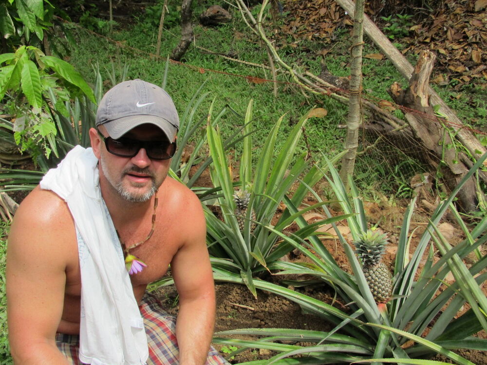 ���� 4483523 ������� ����, 50 ���, ���� ���������� � ��������