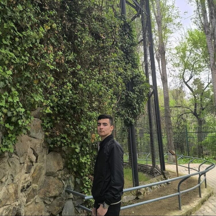 ���� 45134443 ����� ������, 20 ���, ���� ���������� � ��������