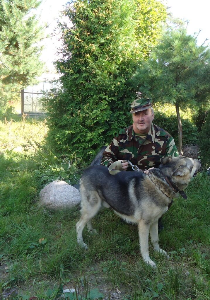  54076453  , 58 ,    -