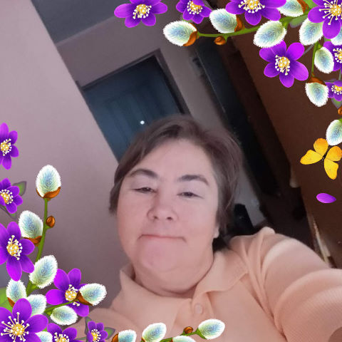  33643503  , 53 ,    