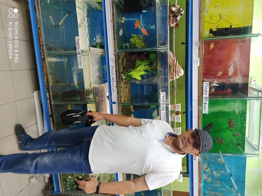  ,   , 54 ,   ,   