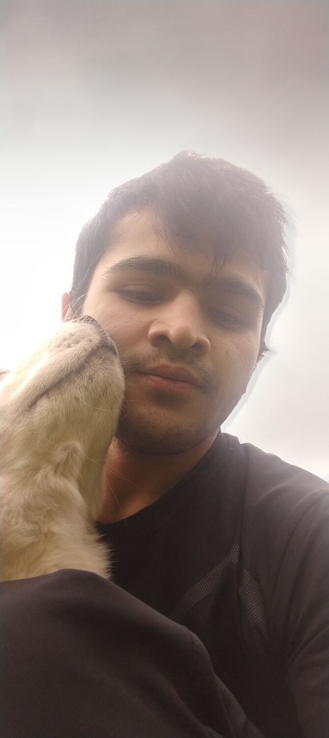 ���������� ������, ���� ����� ������, 23 ����, ������������ ��� ������, ����� � ���������