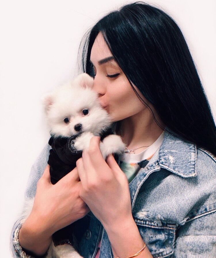 ���� 54852483 ������� ������, 33 ����, ���� ���������� � �����������