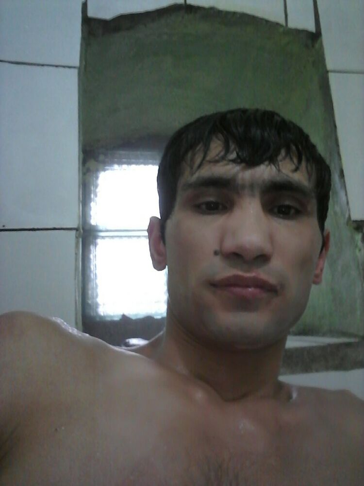  9052613  , 33 ,    
