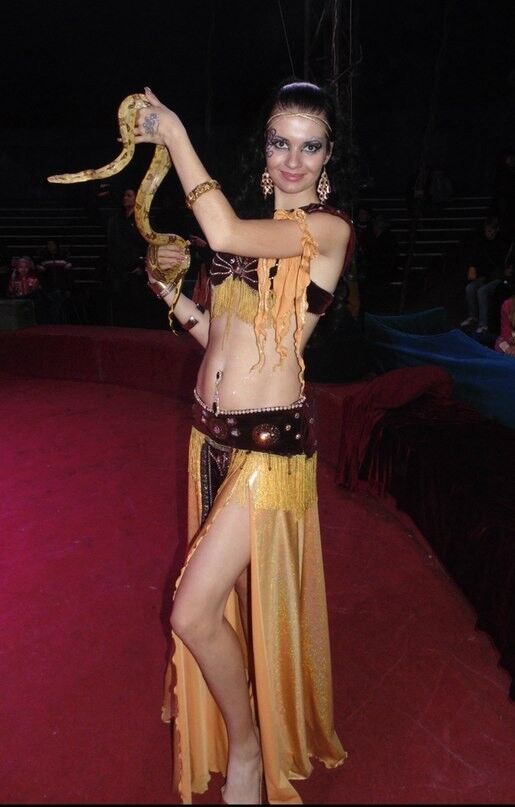 ���������� ����, ���� ������� ���������, 36 ���, ������������ ��� ������, ���������