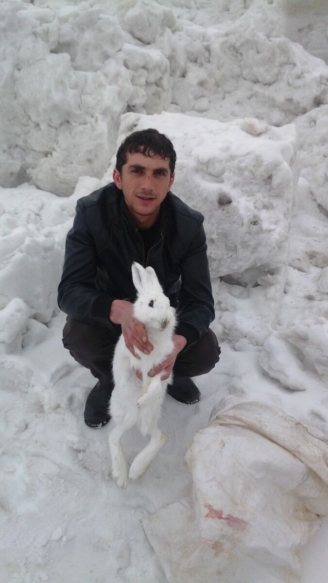 ���� 4242623 ������� ����, 35 ���, ���� ���������� � ����������