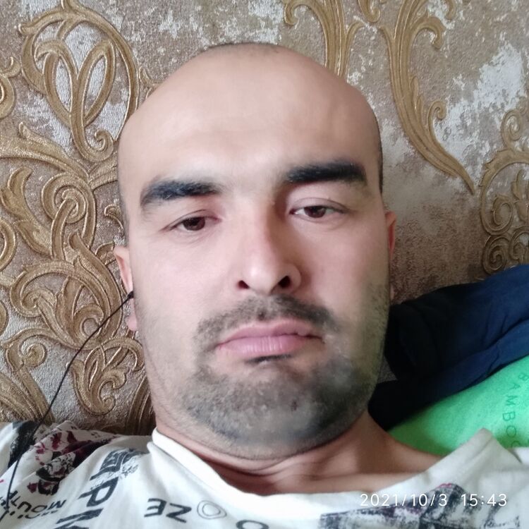  24116403  , 39 ,    