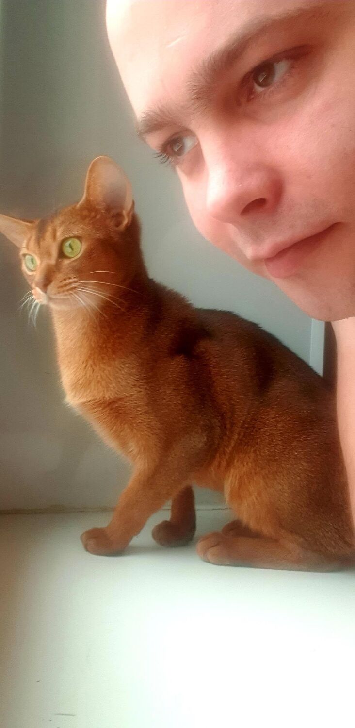 ���� 25570273 ������� �����, 32 ����, ���� ���������� � ����������