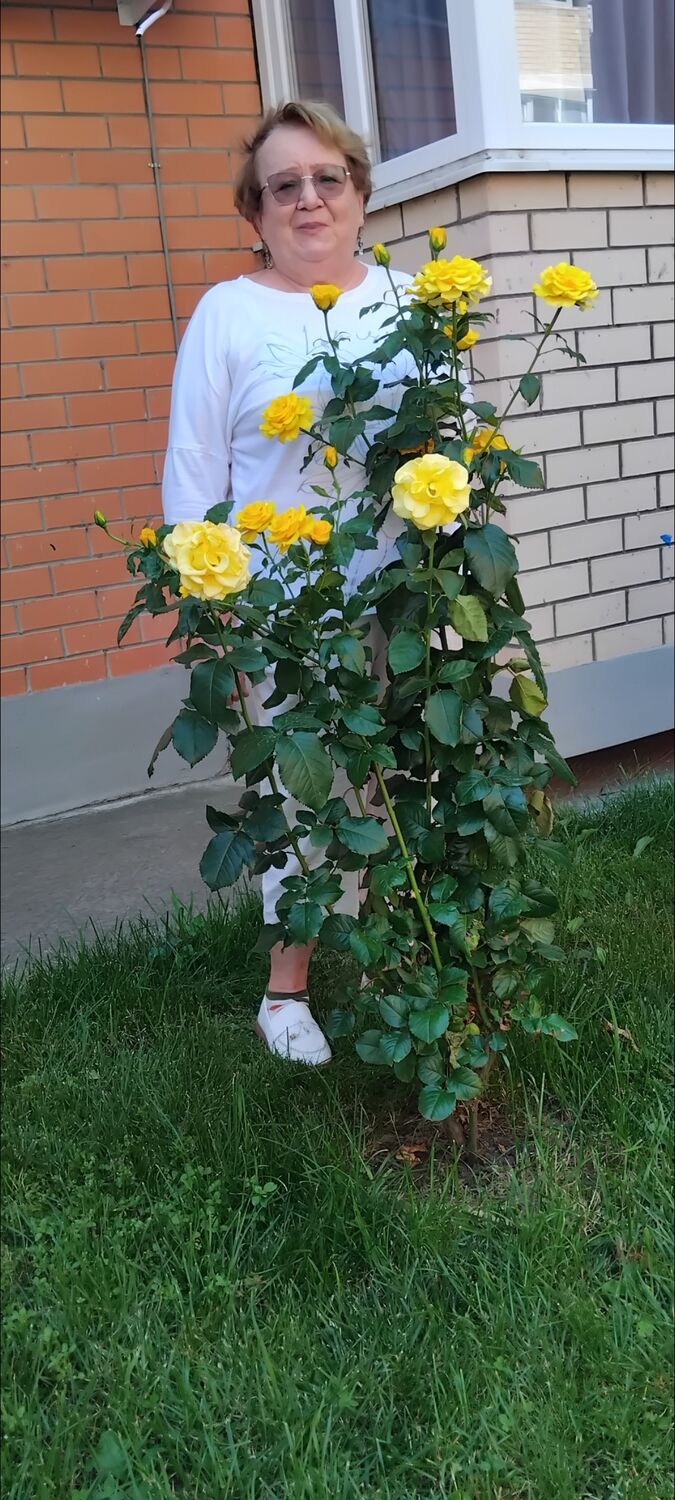 ���������� ���������, ���� ������� ������, 61 ���, ������������ ��� ����� � ���������, c�������� ���������