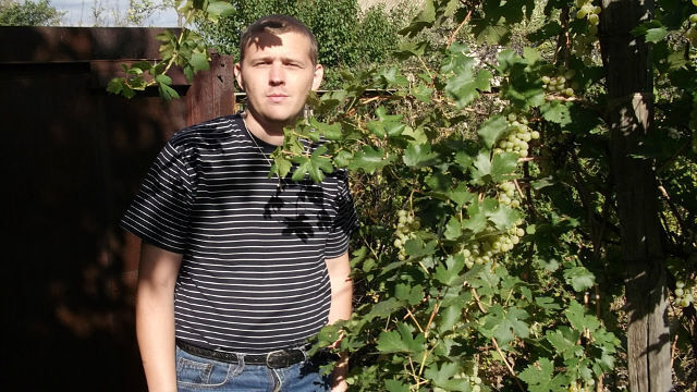  45271713  , 46 ,    -