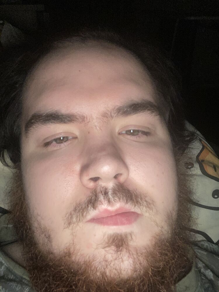  54502873  , 24 ,    -