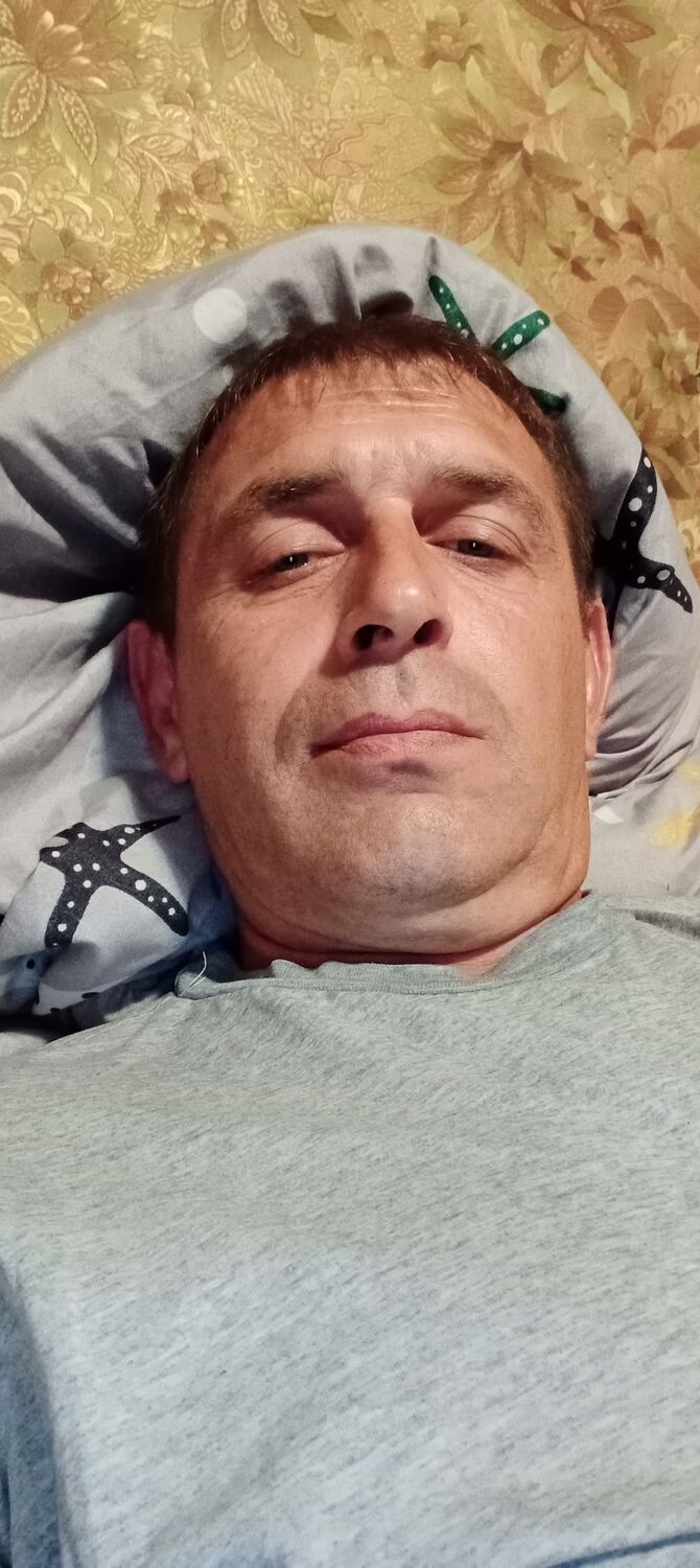  37869853  , 43 ,    