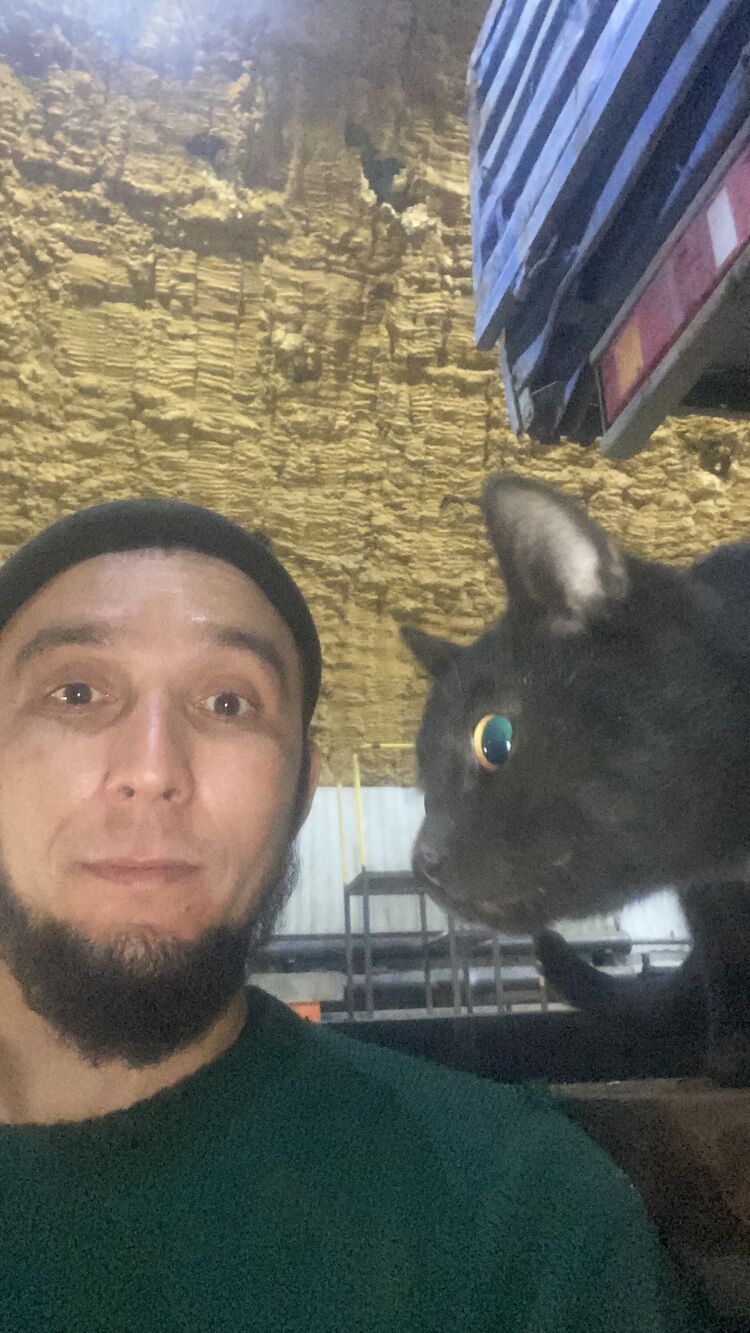 ���� 55601043 ������� �����, 34 ����, ���� ���������� � �����