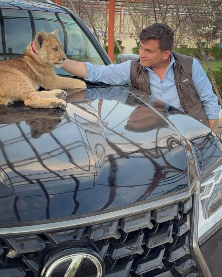 ���������� �����, ���� ������� Raes, 27 ���, ������������ ��� ������, ����� � ���������, c�������� ���������