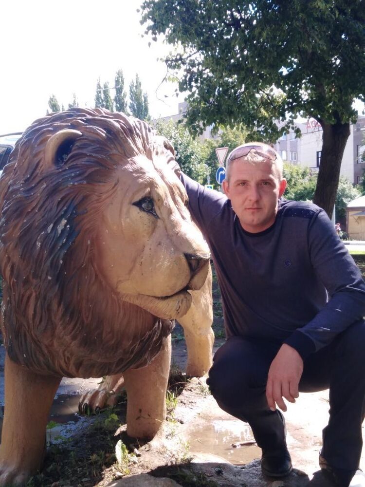 ���� 16688113 ������� �������, 35 ���, ���� ���������� � ������