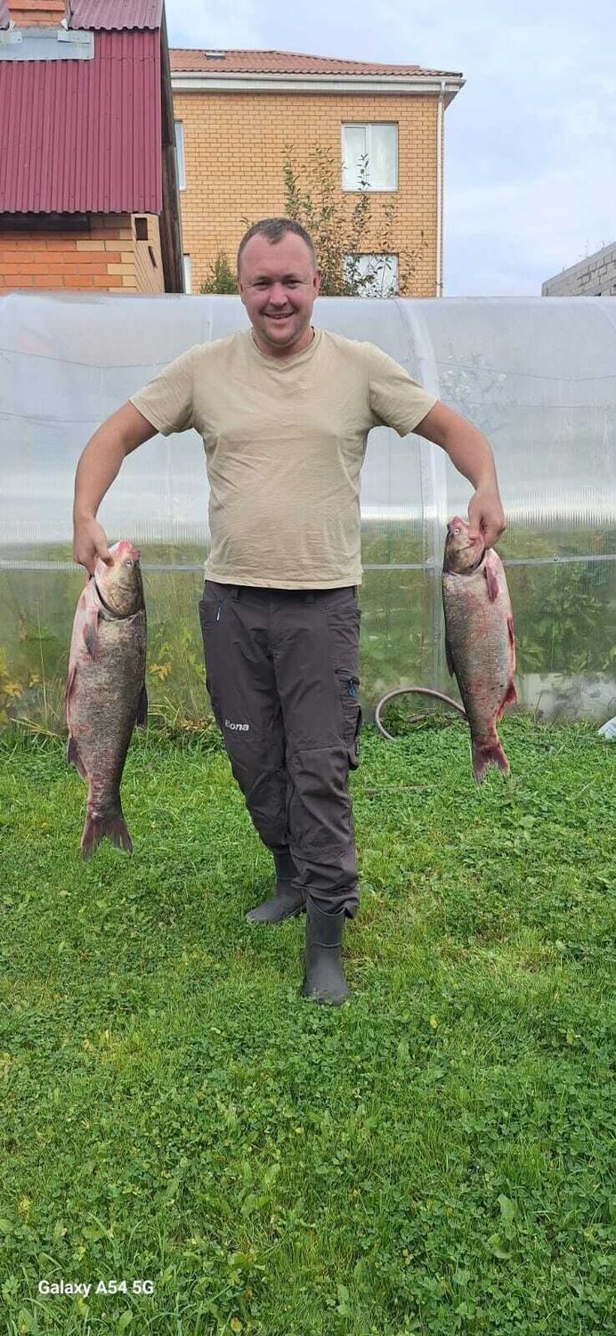  54105913  , 40 ,    -