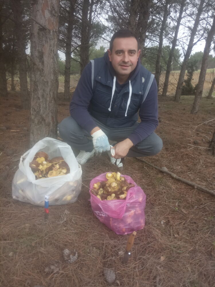 ���� 24512653 ������� ����, 47 ���, ���� ���������� � ����