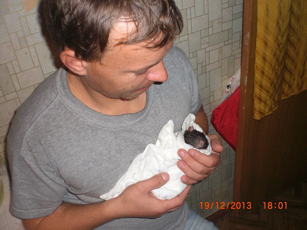  6667233  Maks28, 40 ,    