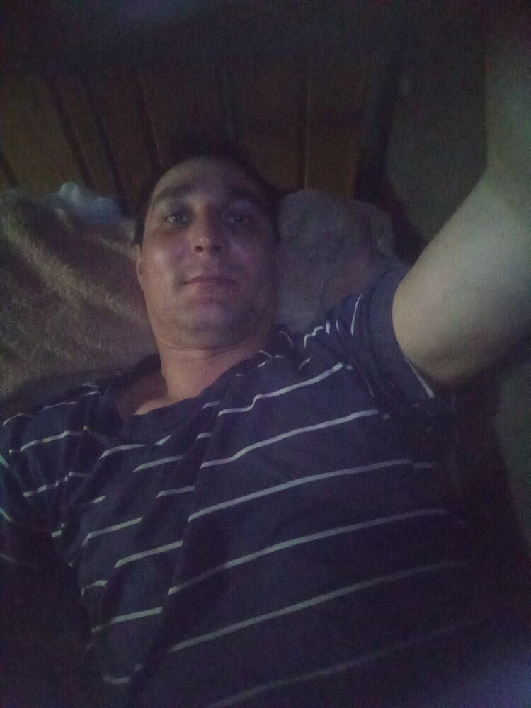  33403623  , 38 ,    