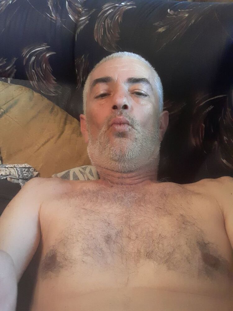  24504393  , 54 ,    