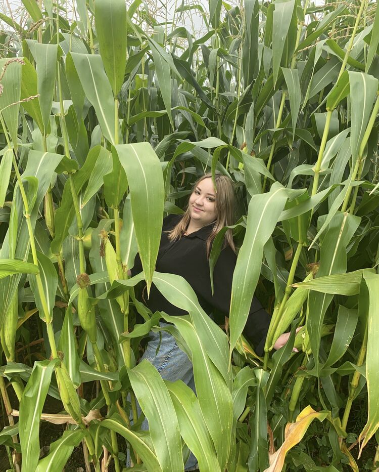  ,   , 38 ,     , c , 