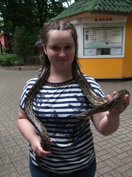 ���������� �����, ���� ������� ���, 32 ����, ������������ ��� ������, ����� � ���������, c�������� ���������