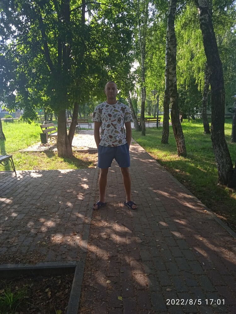  28650053  , 33 ,    