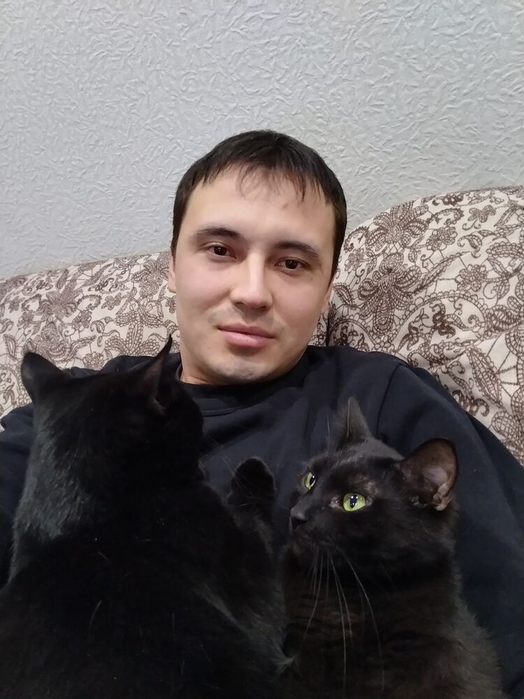  31365223  , 33 ,    -