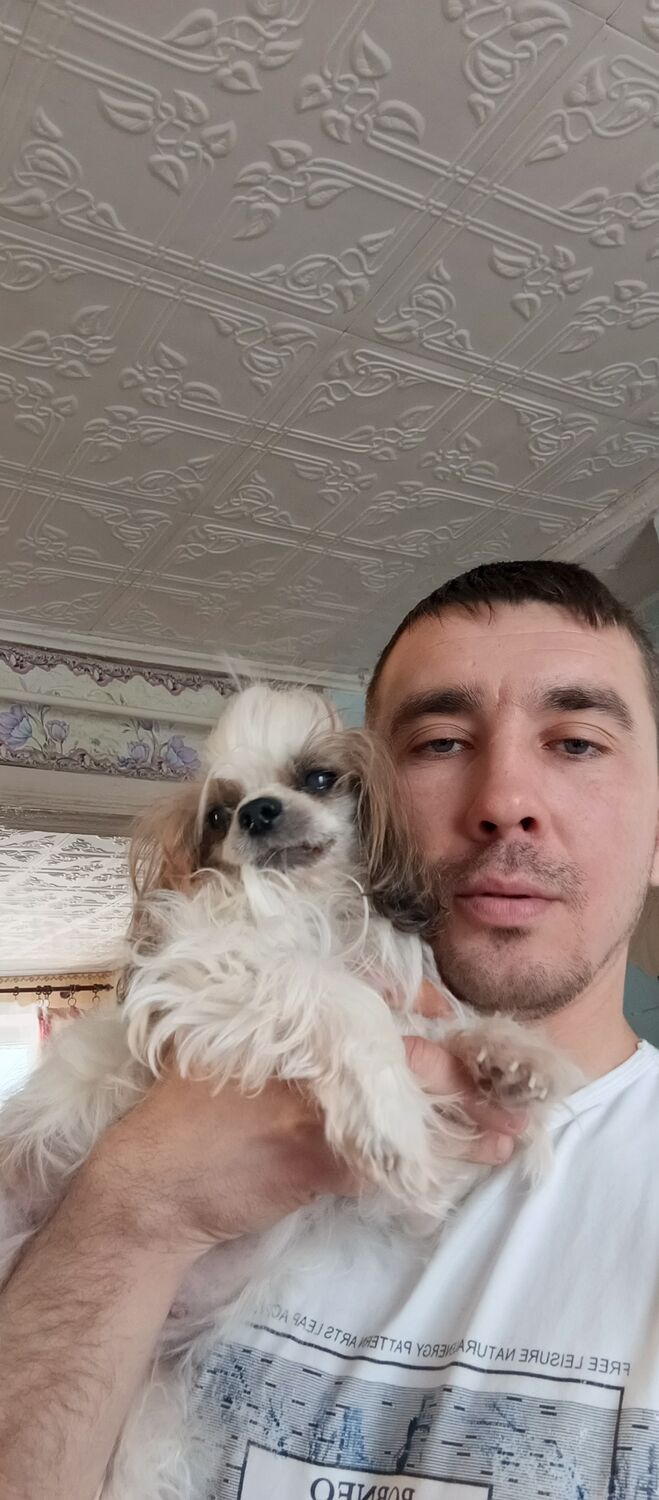 ���������� ������-��-����, ���� ������� ���������, 35 ���, ������������ ��� ������, ����� � ���������