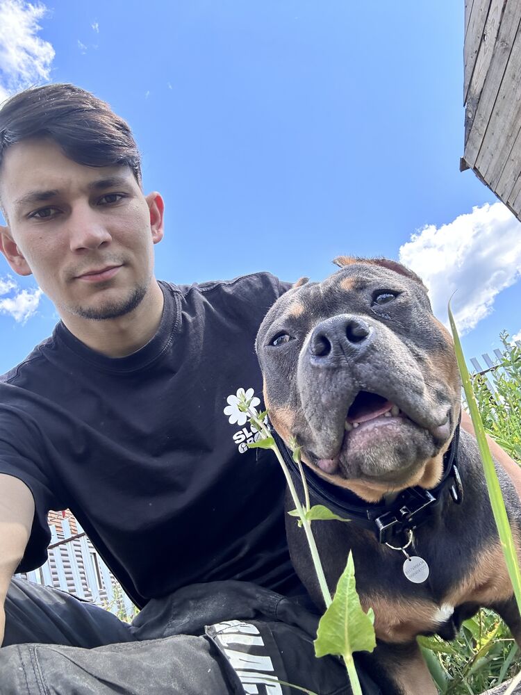 ���� 35889973 ������� ������, 29 ���, ���� ���������� � ��������